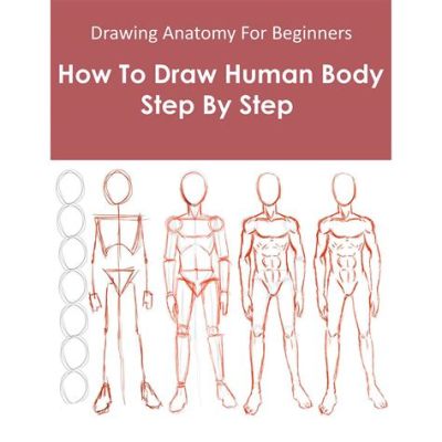 how do you sketch a body in literature?