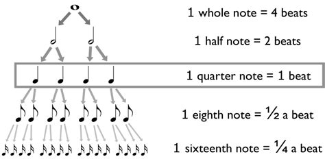 how many notes in music and the role of rhythm in shaping melodies